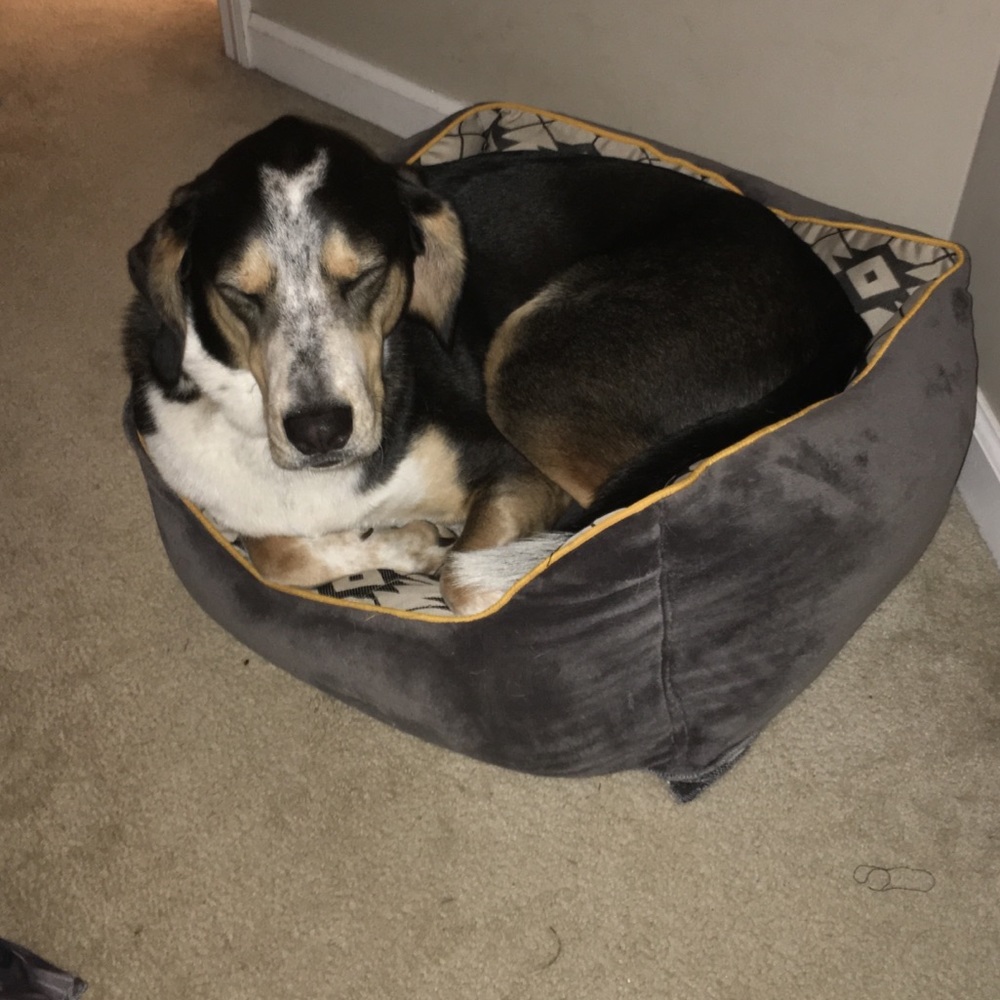 Meet your Posher, Mindy